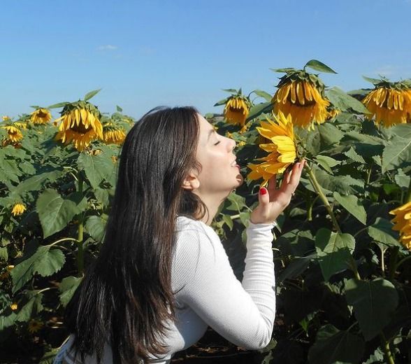 Jovem pula do planeta Terra até o Sol, pousa no Chile e causa catástrofe de nível global! [SAIBA MAIS]